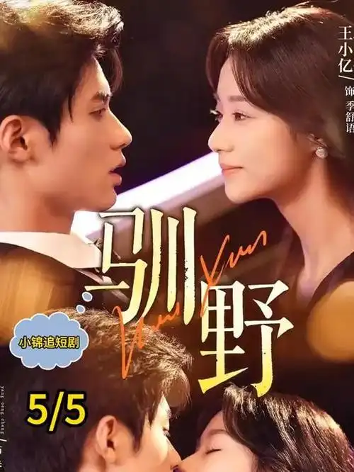 归途列车热播剧集在线观看